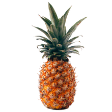 Load image into Gallery viewer, Build Your Head (52 Flavors)
