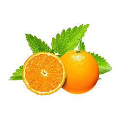 Al-Fakher Mint